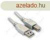 WIRETEK kbel USB sszekt A-B, 5m, Male/Male