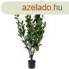 leth feltr ficus mfa 120 cm