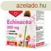 Dr.herz echinacea 500 mg+c-vitamin+szerves cink kapszula 60 