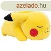 Plssjtk Sleeping Pikachu (Pokmon)