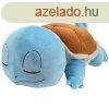 Plssjtk Sleeping Squirtle (Pokmon)