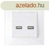 DOUBLE USB SOCKET GLASS FRAME WHITE