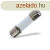 DSC FUSE5A 5A biztostk