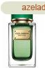 Dolce & Gabbana Velvet Cypress - EDP 50 ml