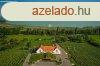 Elad 750m2-es Villa, kastly, kria, Balatonrendes