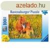 Ravensburger Puzzle 100 db - Shetland-i pnik