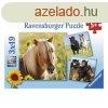 Puzzle 3x49 db - Szpsges lovak