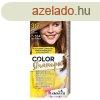 Palette C. Shampoo 317 (7-554) diszke