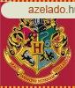 Harry Potter plss takar 120x150 cm