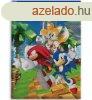 Sonic a sndiszn Speedy Dreams polr takar 100x140cm