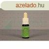 Bach virgeszencia vadrepce 10 ml