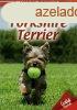 Hzi kedvenceink 1. : Yorkshire terrier