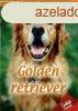 Hzi kedvenceink 2. - Golden retriever