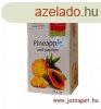 Apotheke Anansz s Papaya tea, 20 filter - Premier Selectio