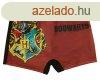 Fi frdboxer Harry Potter-es mintval