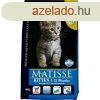 Matisse Kitten 400g