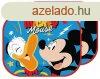Disney Mickey, Donald napellenz ablakra 2 db-os