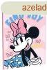 Disney Minnie Joy B/5 vonalas fzet 40 lapos