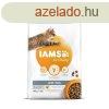 Iams Cat Adult Indoor csirke macskatp 10kg