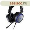 Rapoo VH530 7.1 Gaming Headset Black