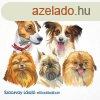 Szacsvay Lszl - A legszebb kutyatrtnetek - hangosknyv