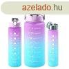 Havita 3in1 motivcis kulacs szett 2L/900ML/300 ML - Rzsas