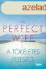 The Perfect Wife ? A tkletes felesg