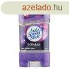 Lady Speed Stick Gl 65g Fitness