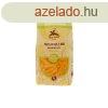 ALCE NERO BIO PENNE GM 250G