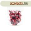 Nuts&berries liofilizlt ribizli mix 25 g