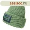 Tli sapka Helly Hansen HH Box Beanie Jade