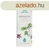 BIOEXTRA GALAGONYA CSEPPEK 50 ML