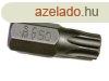 Bit Torx T25 30Mm