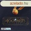 HARRY POTTER htizsk - Roxfort rksg (kk)