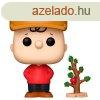 POP! TV: Charlie Brown with Tree (Peanuts)  