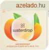 WATERDROP MICRODRINK BARACK ICE TEA 12DB