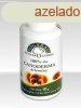 Fogarasi Ganoderma rlemny 10 g