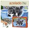 CASTORLAND Puzzle Francia bulldogok 68x47cm - 1000