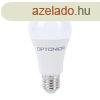 Led lmpa krte E-27 14W 270 termszetes fehr A60