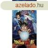 Dragon Ball frdleped, strand trlkz 70x140cm