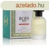 Bois 1920 Vetiver Ambrato - EDT 100 ml