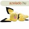 Plssjtk Sleeping Pichu (Pokmon)