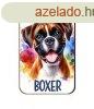 Kutys fa htmgnes, Boxer