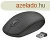 Platinet Omega OM-0420WB Wireless mouse Black