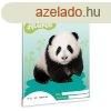 Ars Una Cuki llatok - Panda A/5 vonalas fzet 21-32