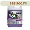 Kombinlt tisztt- s ferttlentszer, 5 l, CIF "Pro 