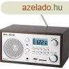 Analg AM / FM Blow retr stlus rdi