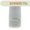 Ziaja DEO ROLL-ON OLAJFA IZZADSGTL