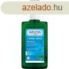 Weleda Zs&#xE1;ly&#xE1;s dezodor 100 ml