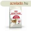 Macska eledel Royal Canin Regular Fit 32 Felntt Kukorica ma